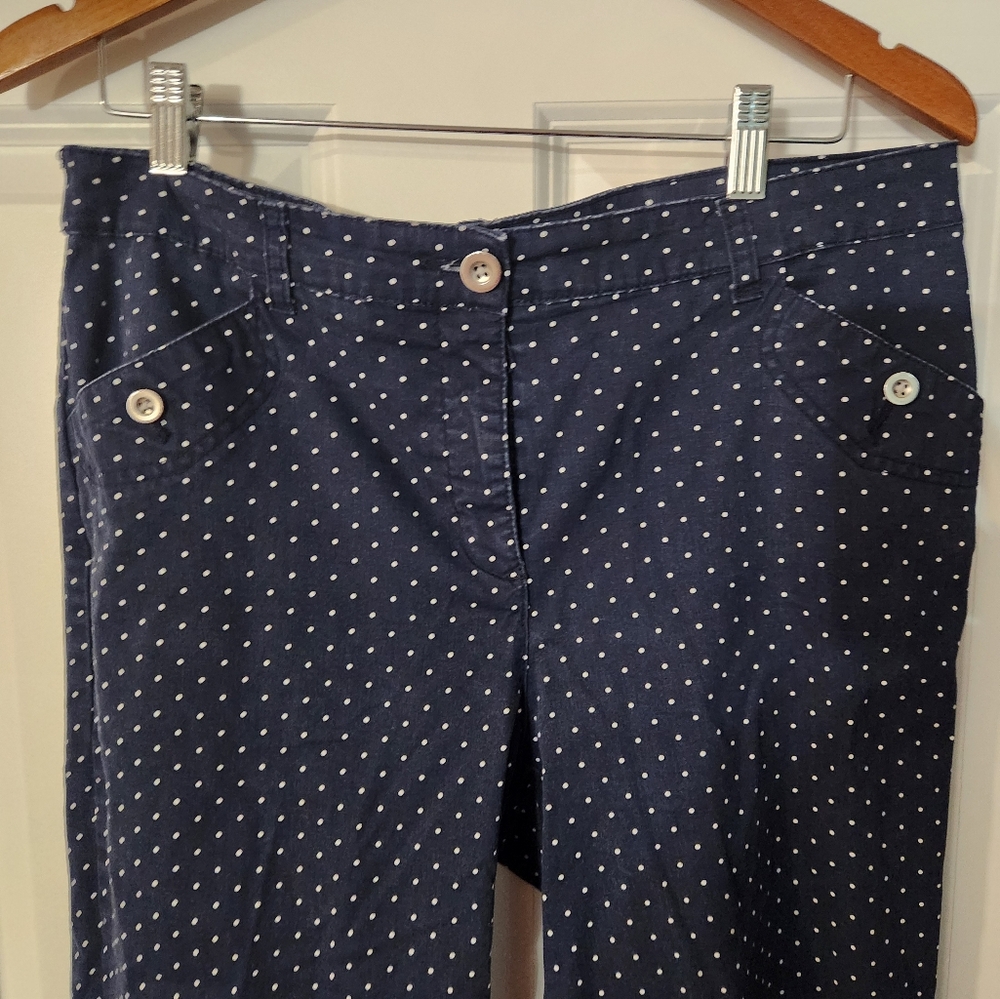 Karen Scott Navy Polkadot Capri Size 10